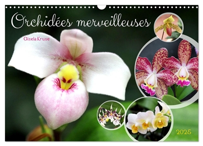 Orchidées merveilleuses (Calendrier mural 2025 DIN A3 vertical), CALVENDO calendrier mensuel : Des fleurs fascinantes d'une grande diversité