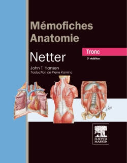 Mémofiches anatomie Netter : tronc