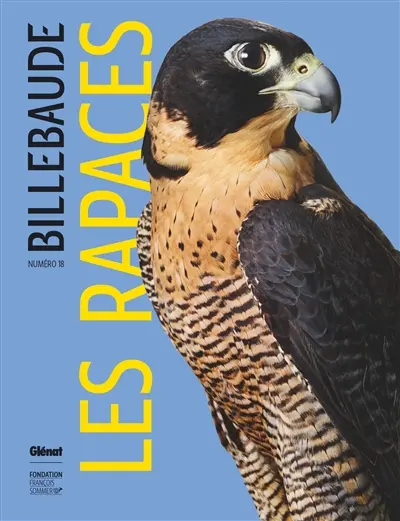 Billebaude, n° 18. Les rapaces