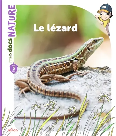 Le lézard