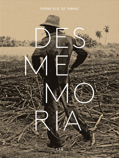 Desmemoria