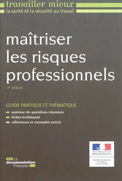 Maîtriser les risques professionnels : guide pratique et thématique