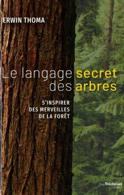 Le langage secret des arbres : s'inspirer des merveilles de la forêt