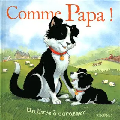 Comme papa : un livre à caresser