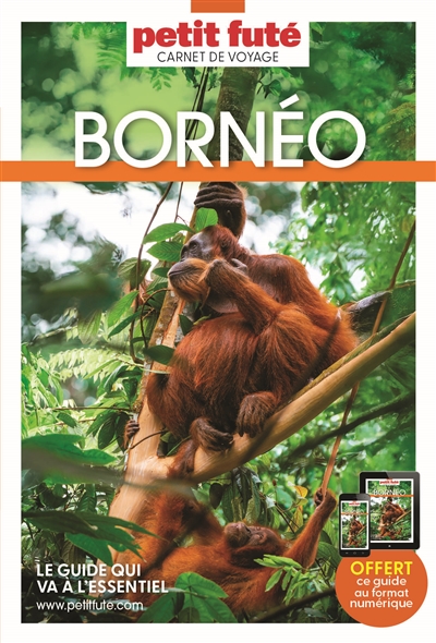 Bornéo