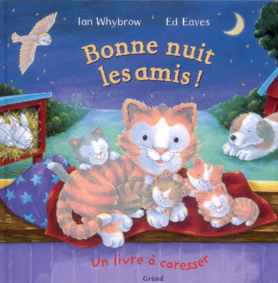 Bonne nuit les amis !