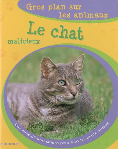 Le chat malicieux