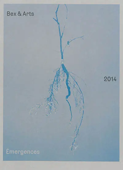 Bex & arts 2014 : émergences