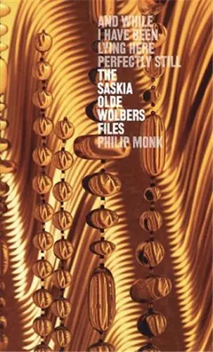 Saskia Olde Wolbers Files : And While