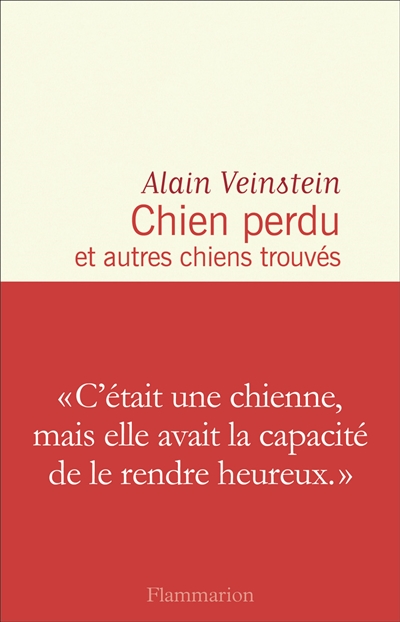 chiens perdus et autres chiens trouvés