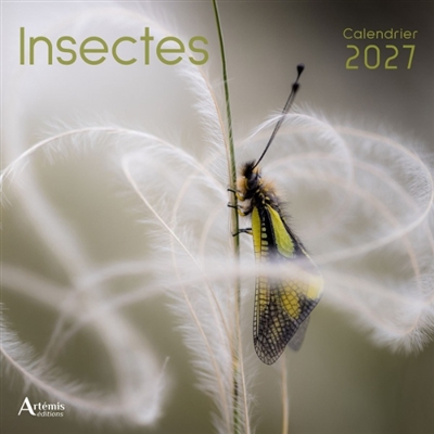 Insectes : calendrier 2027
