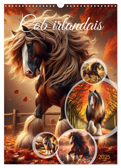 Cob irlandais (Calendrier mural 2025 DIN A3 horizontal), CALVENDO calendrier mensuel : Découvrez la beauté majestueuse des chevaux Cob irlandais