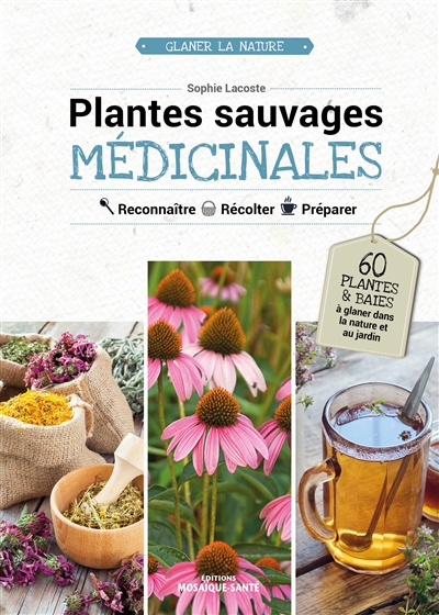 Plantes sauvages médicinales : reconnaître, récolter, préparer