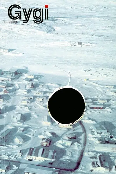 Gygi : common grounds : 25a Bienal Internacional de Sao Paulo em 2002-Suiça