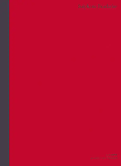 Stéphane Bordarier : exposition, Paris, Galerie Jean Fournier, du 24 novembre 2011 au 7 janvier 2012