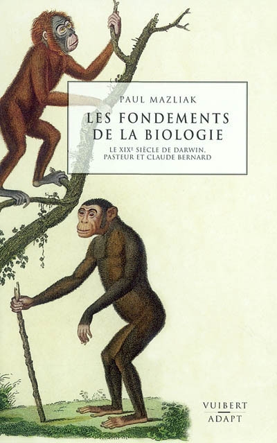 Les fondements de la...