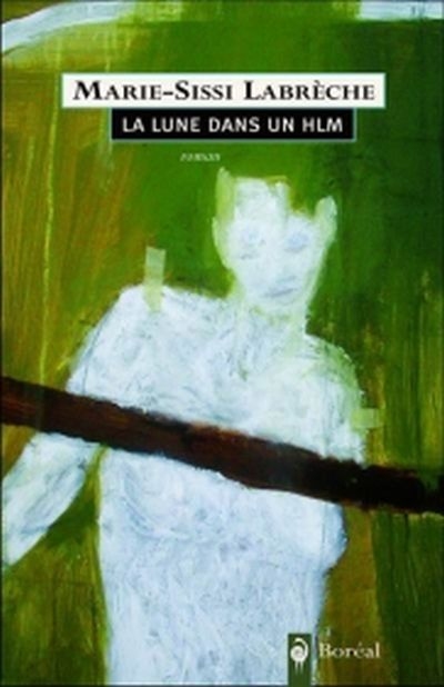 La lune dans un HLM