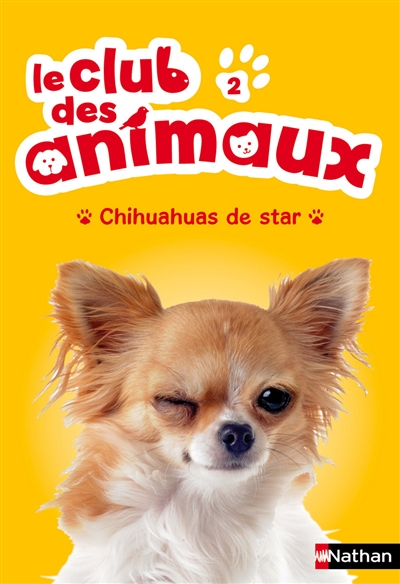 Chihuahuas de star