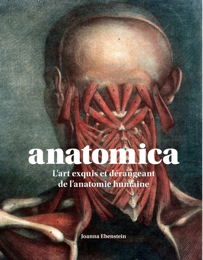 Anatomica : l'art exquis et dérangeant de l'anatomie humaine