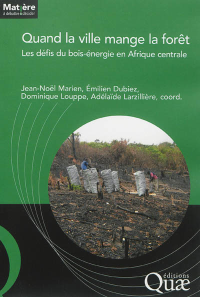 Quand la ville mange la forêt : les défis du bois énergie en Afrique centrale
