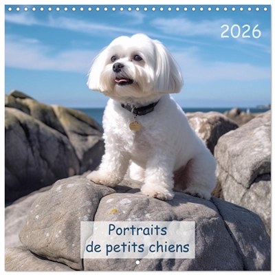 Portraits de petits chiens...