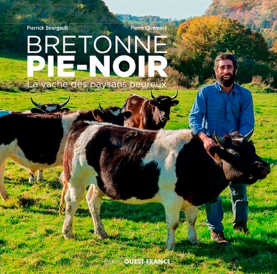 Bretonne pie-noir : la vache des paysans heureux