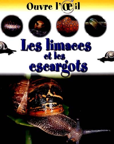 Les limaces et les escargots