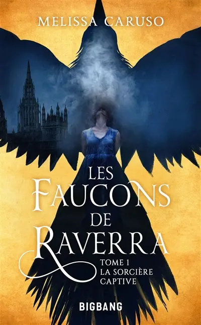 Les faucons de Raverra. Vol. 1. La sorcière captive