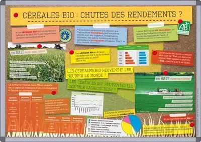 Céréales bio : chutes des rendements ?