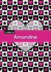 Le cahier d'Amandine :...
