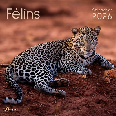 Félins : calendrier 2026 :...