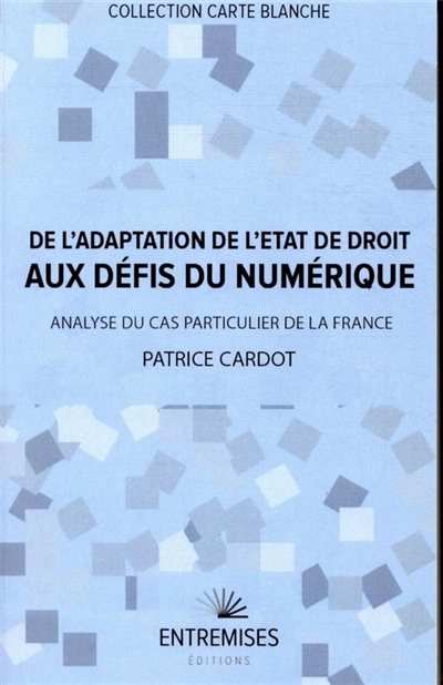 De l'adaptation de l'Etat de droit aux défis du numérique : analyse du cas particulier de la France