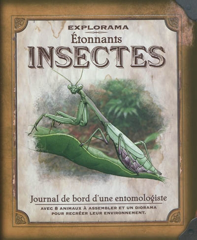Etonnants insectes