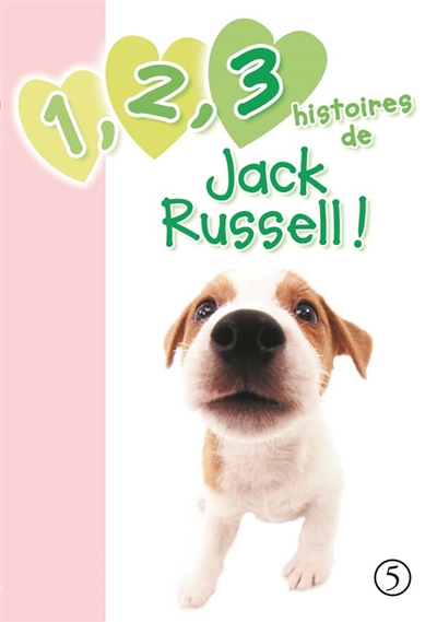 1, 2, 3 histoires de Jack Russell !