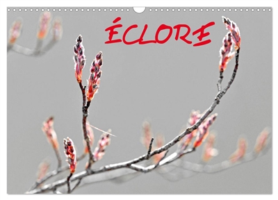 ECLORE (Calendrier mural...