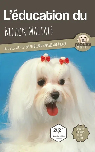 L'éducation du bichon maltais : toutes les astuces pour un bichon maltais bien éduqué : 2021