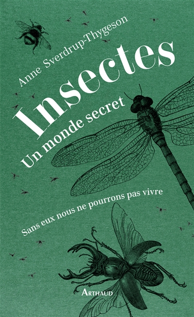 Insectes : un monde secret : sans eux nous ne pourrions pas vivre