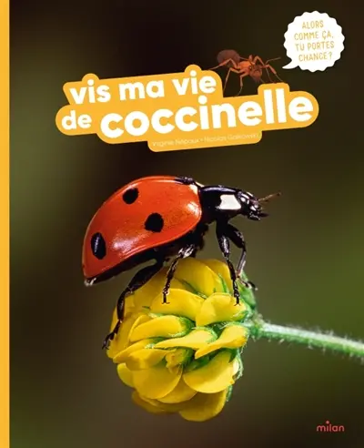 Vis ma vie de coccinelle Vis ma vie de coccinelle