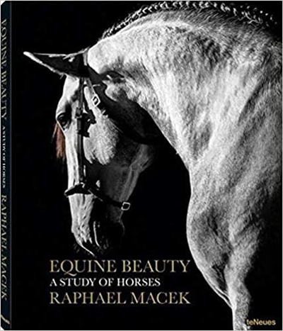 Beauté équestre : étude sur les chevaux