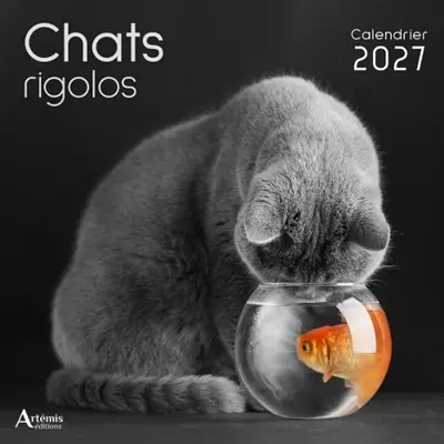 Chats rigolos : calendrier 2027