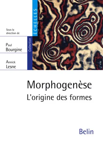 Morphogenèse : l'origine des formes