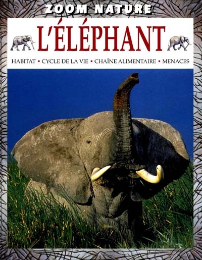 L'éléphant : habitat, cycle de la vie, chaîne alimentair