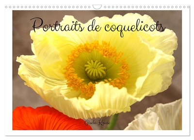 Portraits de coquelicots...