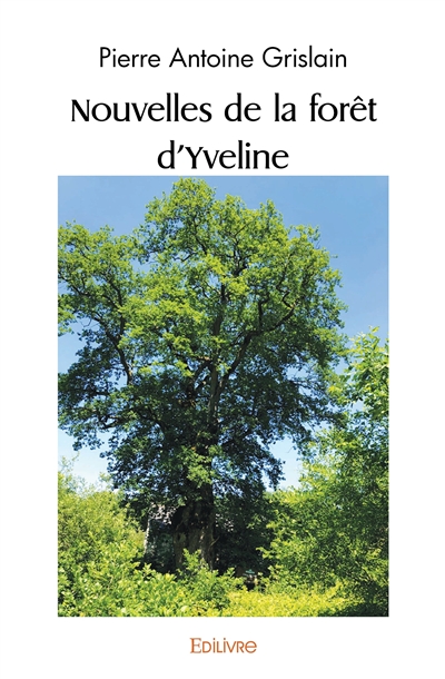 Nouvelles de la forêt...