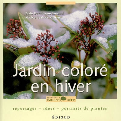 Jardin coloré en hiver : reportages, idées, portraits de plantes