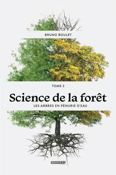 Les arbres en pénurie d'eau 2