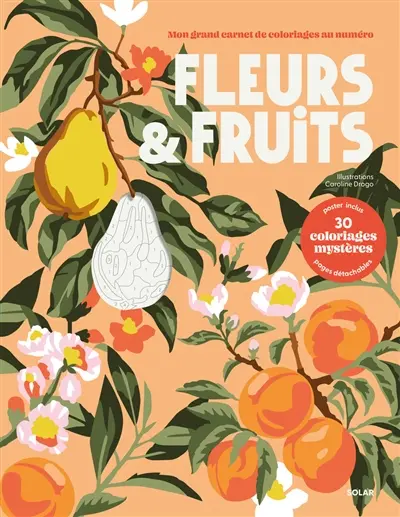 Fleurs & fruits : 30 coloriages mystères