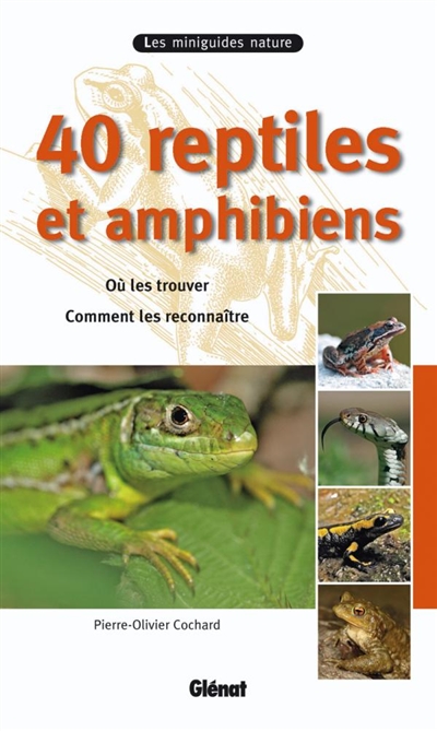 40 reptiles et amphibiens : où les trouver, comment les reconnaître
