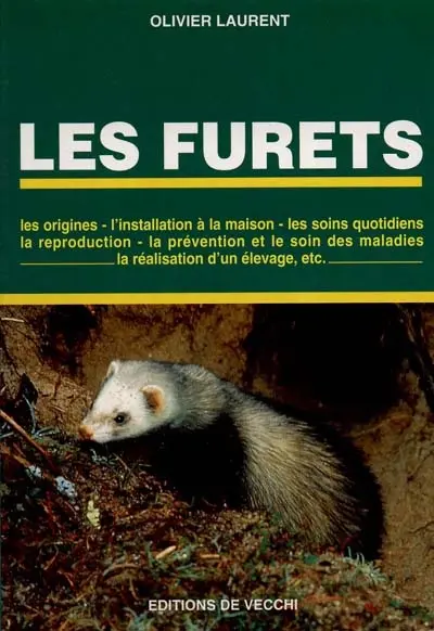 Les furets