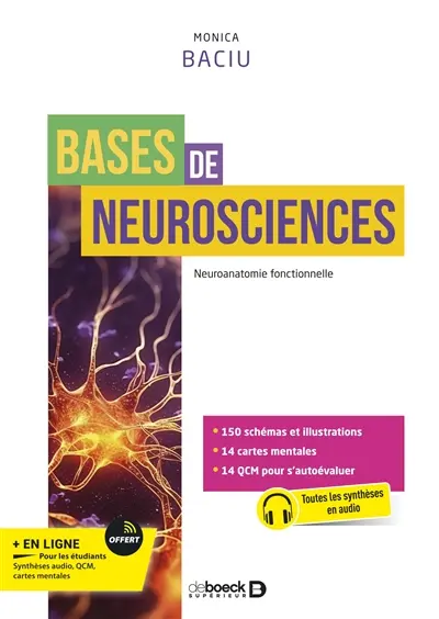 Bases de neurosciences : neuroanatomie fonctionnelle